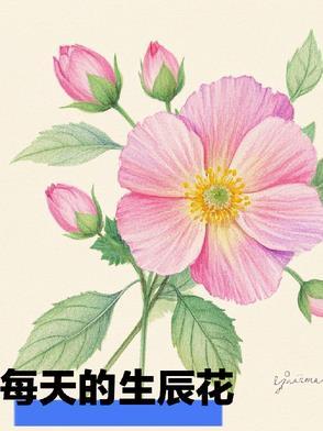 就遇到百鬼夜行txt